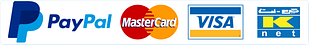 paypal-visa